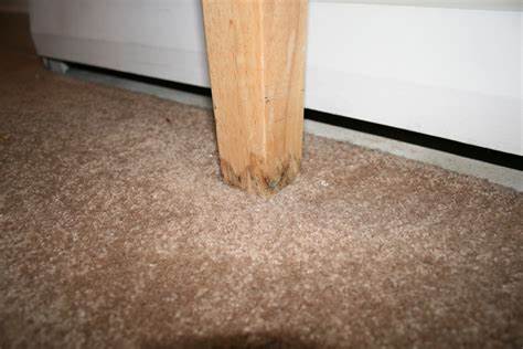 Water Damage in Wooden Furniture