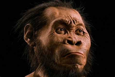 Ciri-Ciri Manusia Purba Jenis Homo: Keajaiban dari Masa Lalu