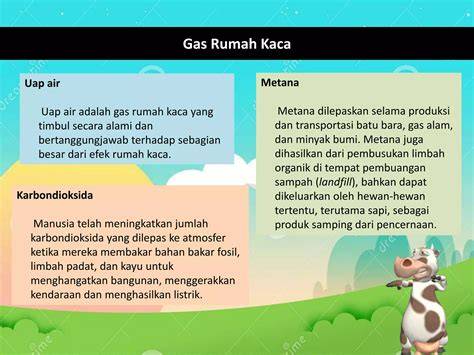 FILTER MOTOR DILEPAS