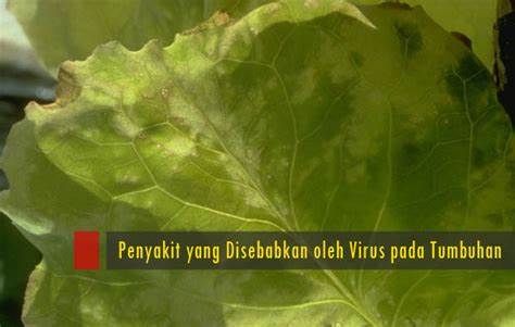 Virus yang Menyebabkan Penyakit pada Tumbuhan: Kelebihan dan Kekurangan