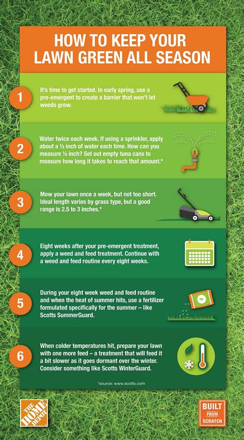 10 Tips to Keep Your Grass Green During Winter