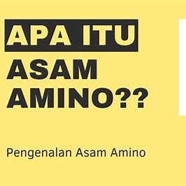 Apa itu Asam Amino?
