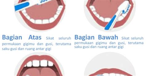 Sikat gigi secara teratur