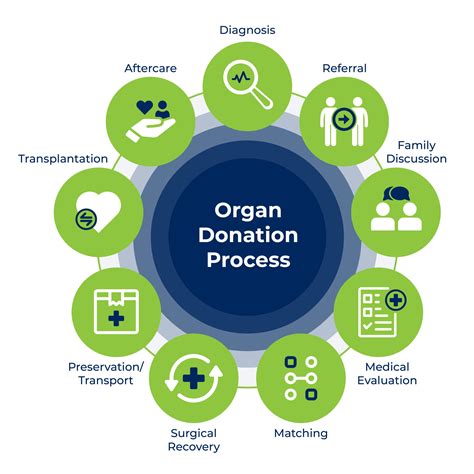 Donation Process