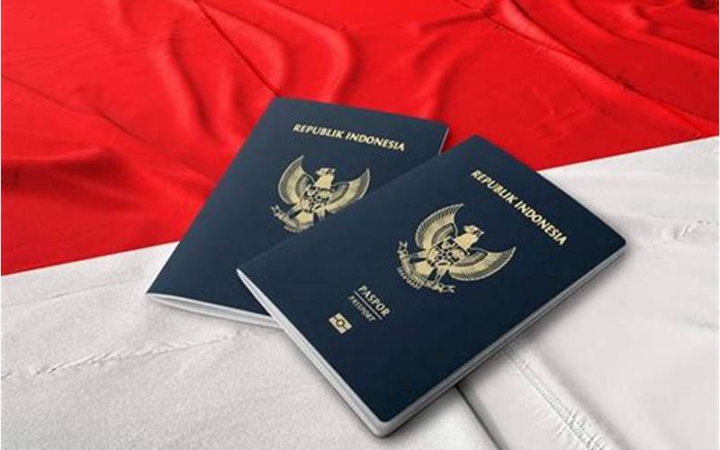 Apa Itu Paspor Untuk Keluar Dari Rusia? 