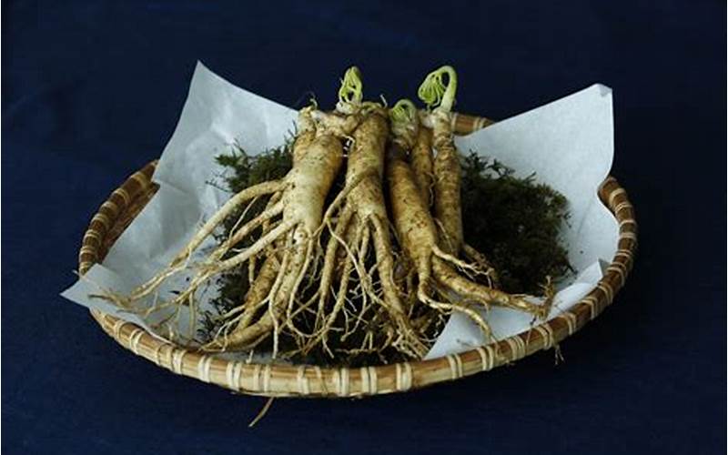 can i grow ginseng aquaponically