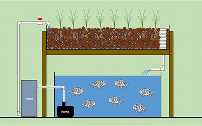 Does Gravel Allow Air Flow In Aquaponics? 