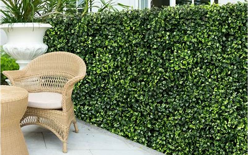  Expandable Faux Boxwood Privacy Fence: The Perfect Solution For Your Outdoor Privacy Needs 