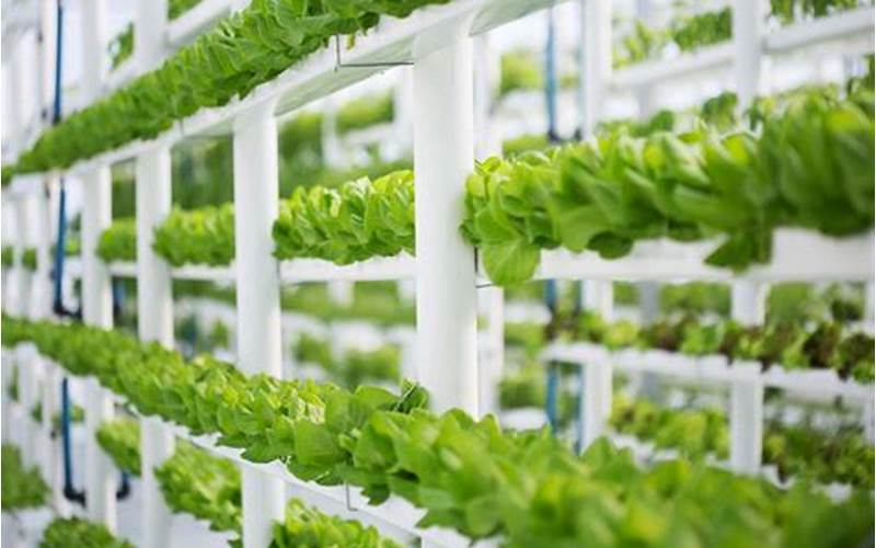  How Does Green Hydroponic Farming Work? 