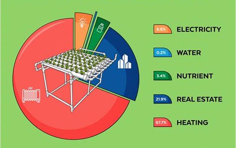  How Much Do Hydroponics Cost? 