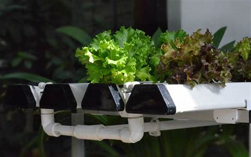 how to build a hydroponic
