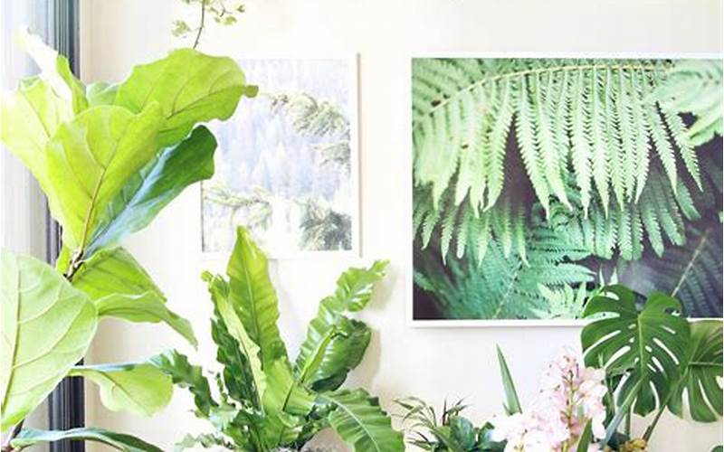  How To Create A Healthier Home With These Easy-To-Grow Plants 