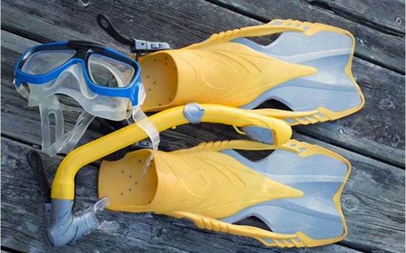 Peralatan Snorkeling Yang Dibutuhkan 