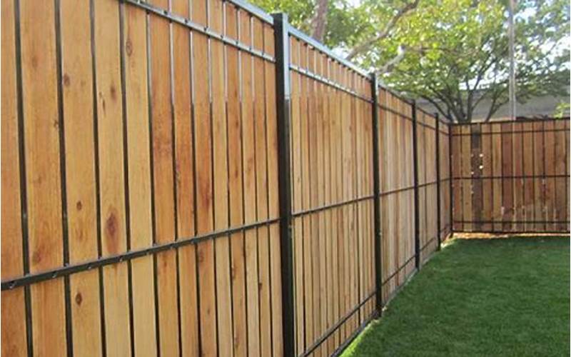  Privacy Fence Vs. Living Fence: Which Is The Best Choice For Your Property? 