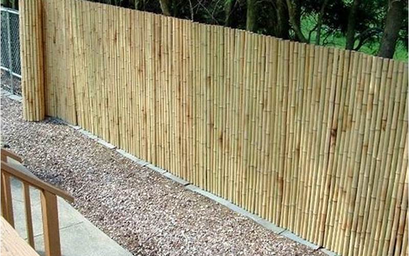  Rolled Bamboo Privacy Fence: Advantages And Disadvantages 