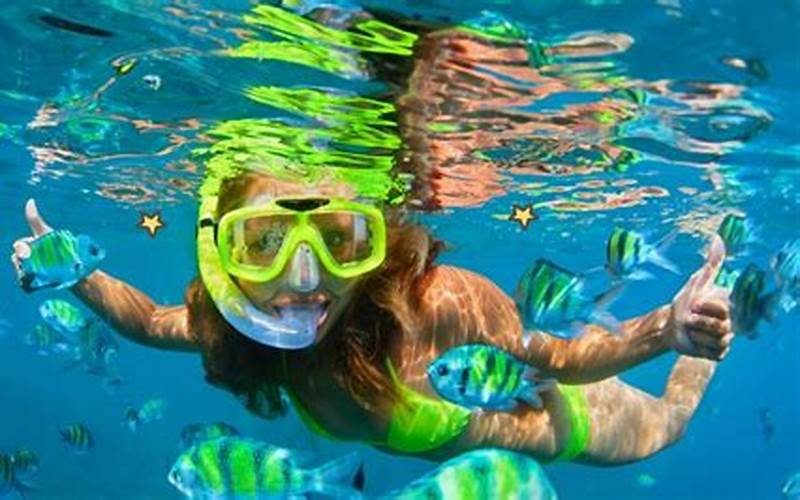  Snorkeling Di Tanjung Benoa Bali: Menikmati Keindahan Bawah Laut Di Bali 