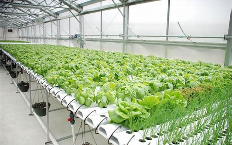 a capital intensive commerciak intensive land use system hydroponics