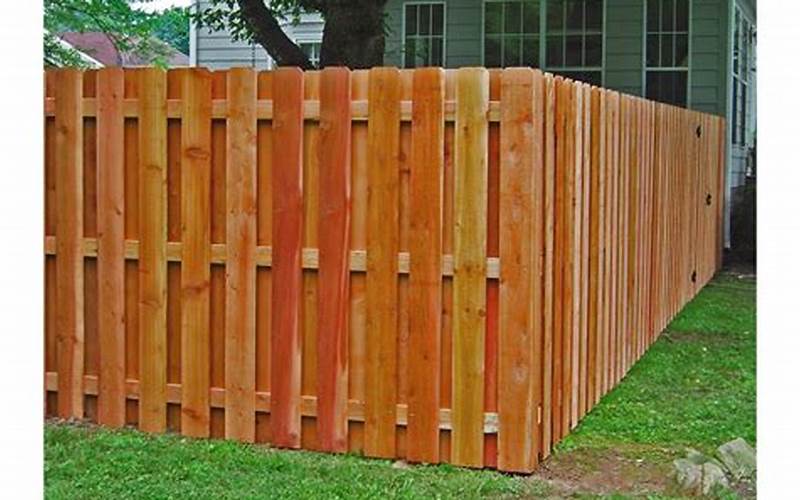  Wooden Privacy Fence Boards: Exploring Advantages, Disadvantages, And Faqs 