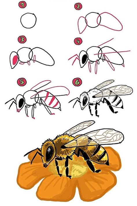 "Bee-Dazzling Artistry: Master the Buzz with our Ultimate Guide on How to Draw a Bee!"