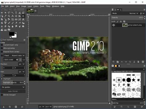 GIMP logo