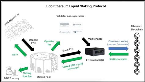 Lido Liquid Staking Platform