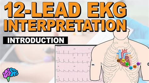 "Master ECG Interpretation with Apex: Your Ultimate Learning Software!"