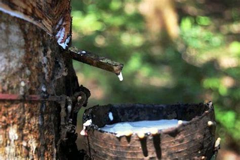 # 1 . increase rubber