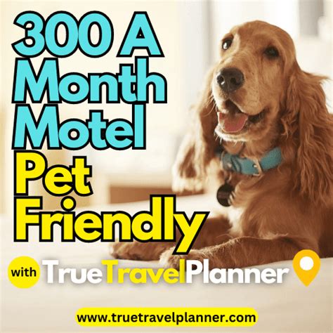 0 a month motel pet friendly in new york city
