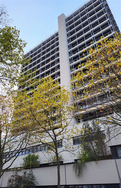 Unlocking the Future with $lfst: Innovations and Possibilities Ahead