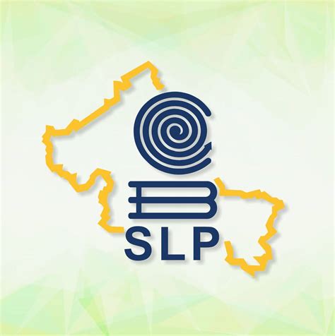 SLP Token Price and Updates