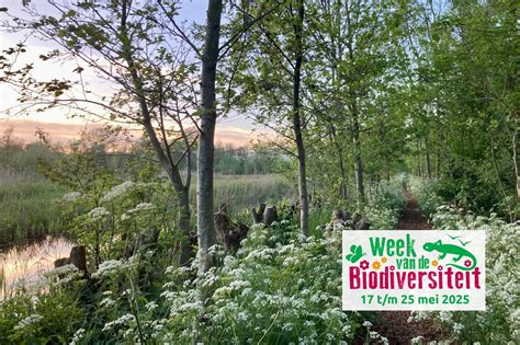 Biodiversiteit