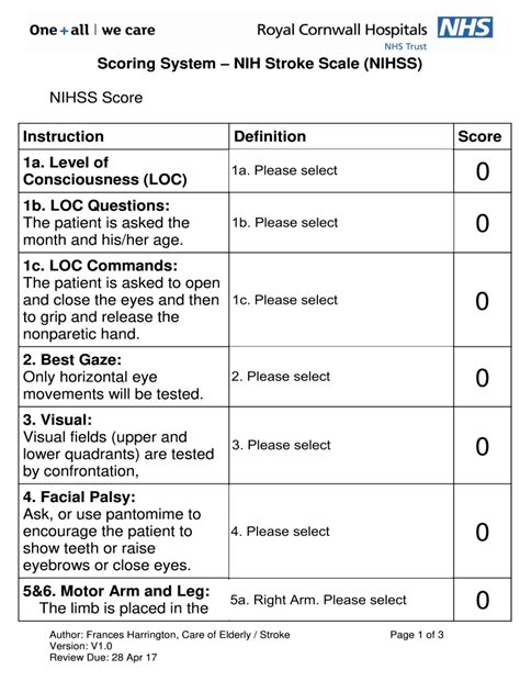 Components and Scoring System of Scala NIHSS