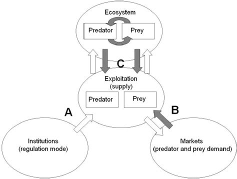 Deciphering Economic Circuits