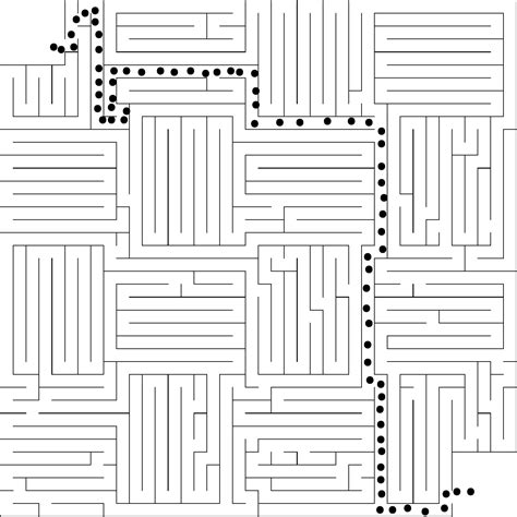 Deciphering the Maze