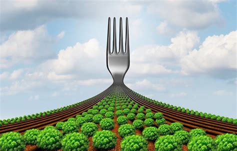 Farm-to-Fork
