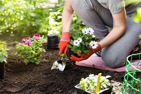 Gartenarbeit