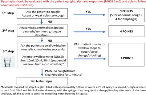 Implementing Evidence-Based Interventions Post NIHSS Evaluation
