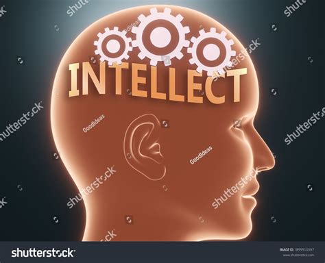 Intellect