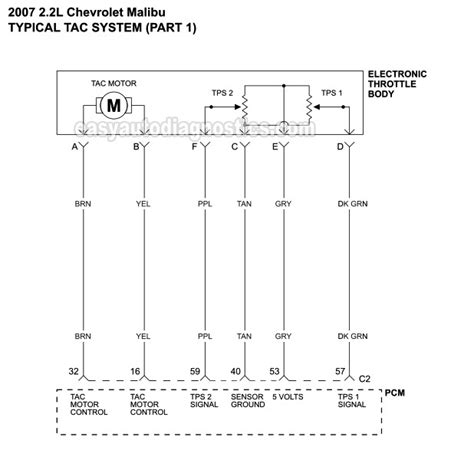 Key Circuits and Connections