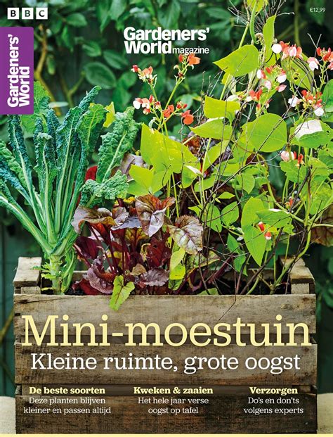 Moestuin