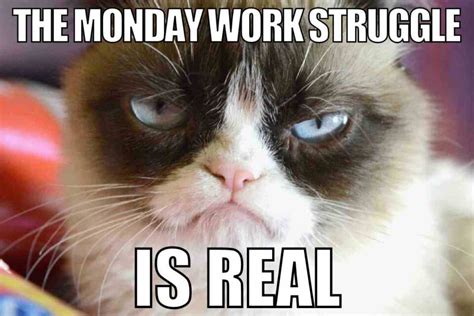 Monday