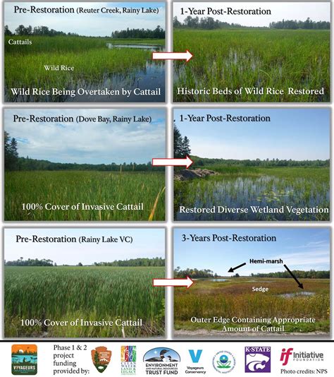 Practical Applications for Restoration Projects