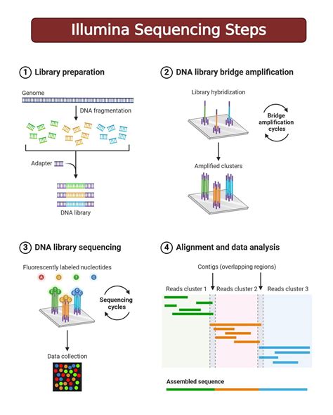 Sequencing and Progressions