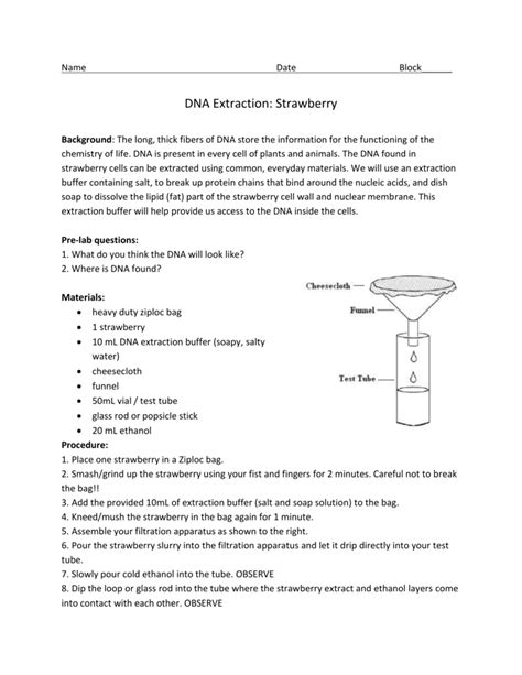 Steps for DNA Extraction