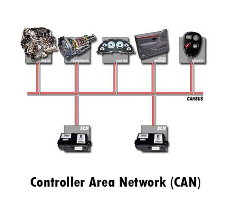 Understanding the Basics of CAN Network Architecture
