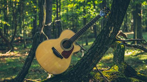 Gitara