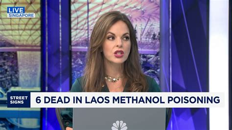 Have Fun Marshmallow Farm Animals