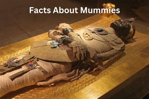 Mummies