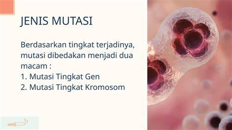 Mutasi