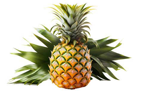 pineapple